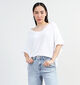 Dolce C. Pull avec col en V en Blanc pour femmes (349574)