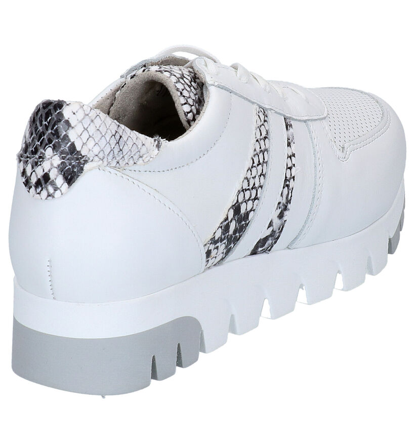 Tamaris Chaussures à lacets en Blanc en cuir (270119)