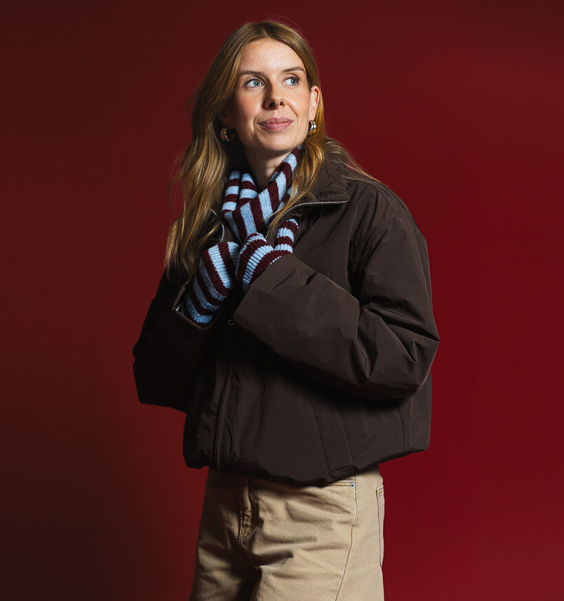 Laurent David Blauwe/Bordeaux Sjaal en Handschoenen Set voor dames (384371)