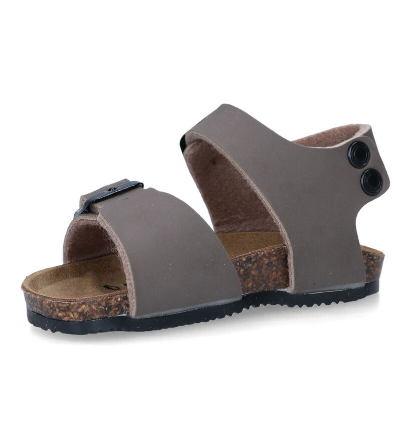 Biomodex Taupe Sandalen in kunstleer (324591)