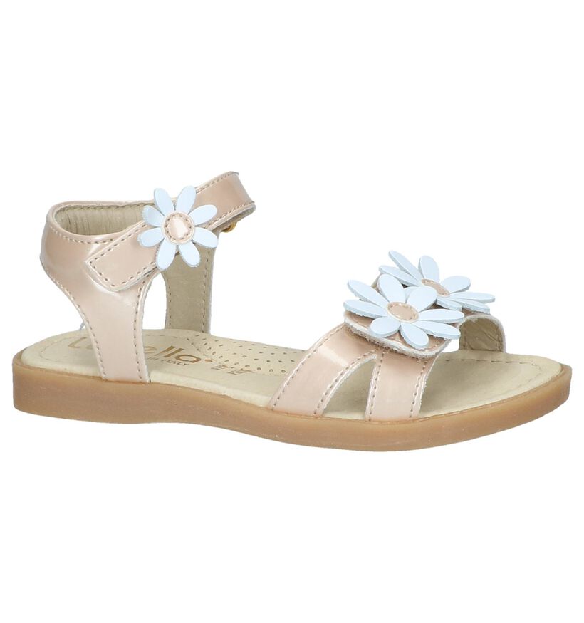 Lunella Sandales en Rose fuchsia en cuir (238976)