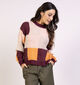 Vila Hallo Beige/Bordeaux Trui voor dames (366152)