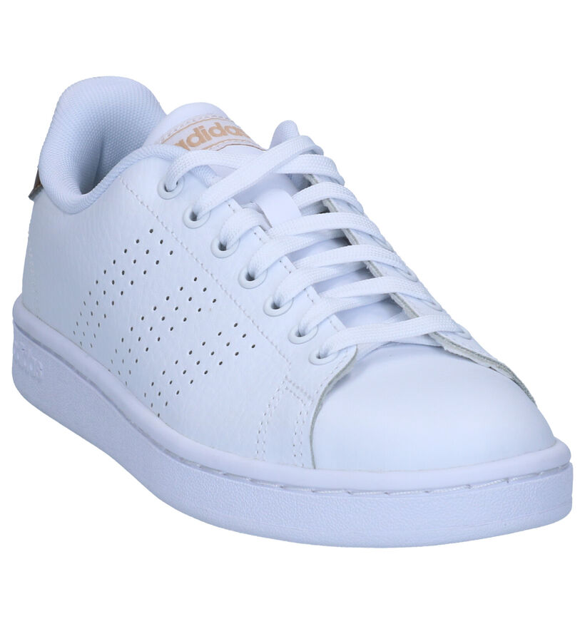 adidas Advantage Witte Sneakers in kunstleer (284790)