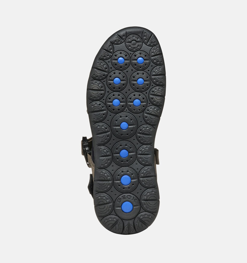 Geox Spherica Sandales de marche en Gris pour hommes (353843)
