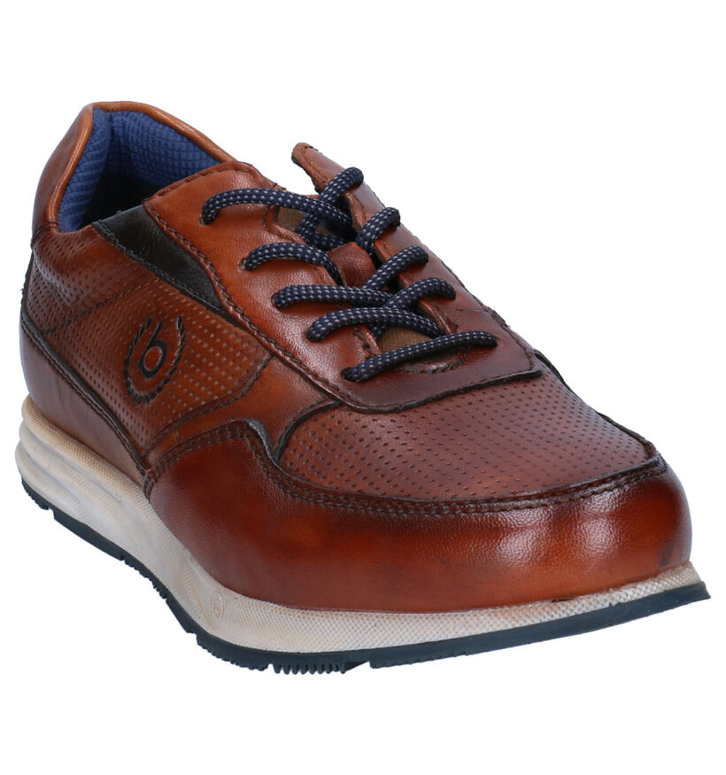 Bugatti Cognac Veterschoenen in leer (293625)