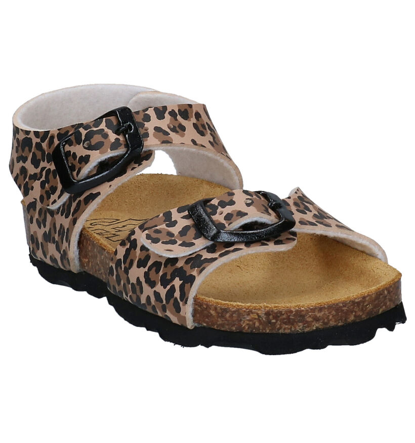 Gem's Sandales en Beige foncé en simili cuir (301895)