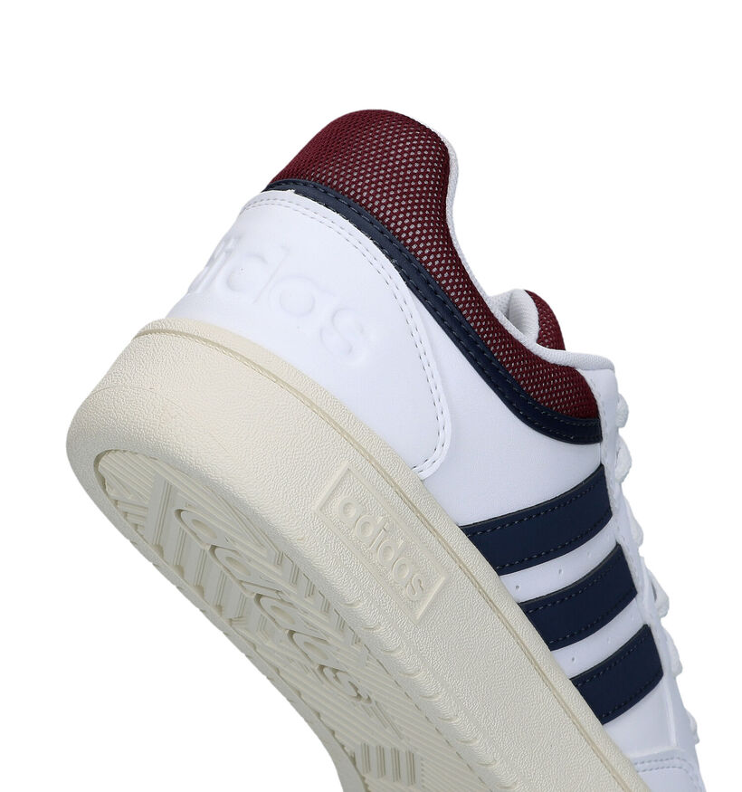 adidas Hoops 3.0 Baskets en Blanc pour hommes (319011)