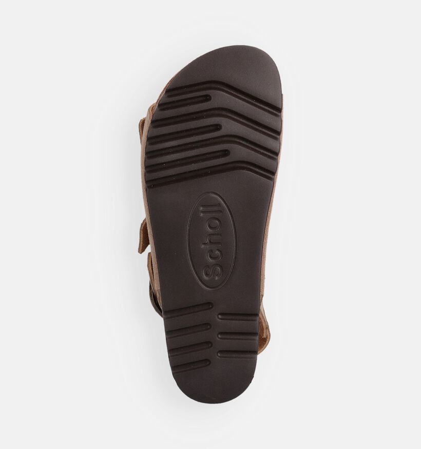Scholl Noelle Donkerbeige Sandalen voor dames (369843)