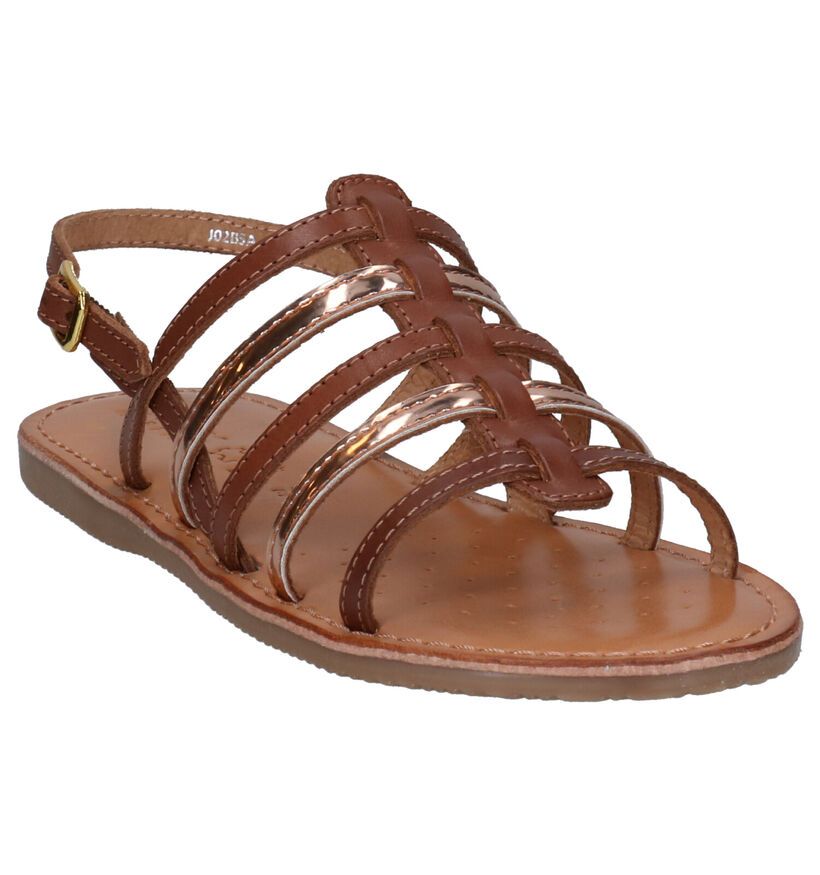 Geox Cognac Sandalen in leer (267455)