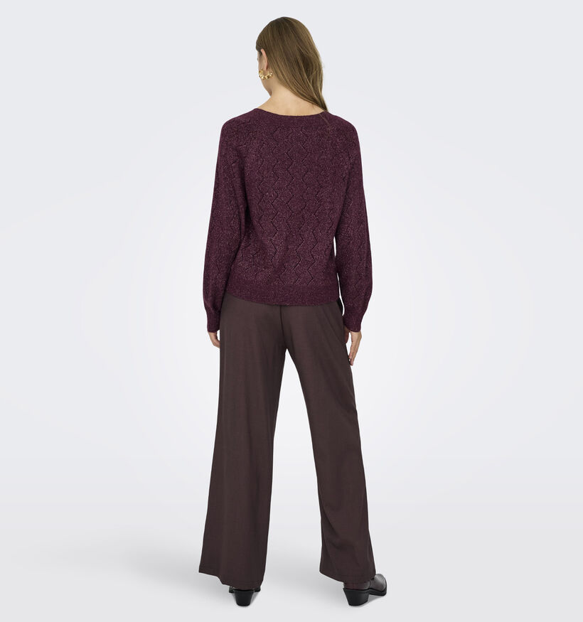 JDY Aspen Life Bordeaux Pull voor dames (365267)
