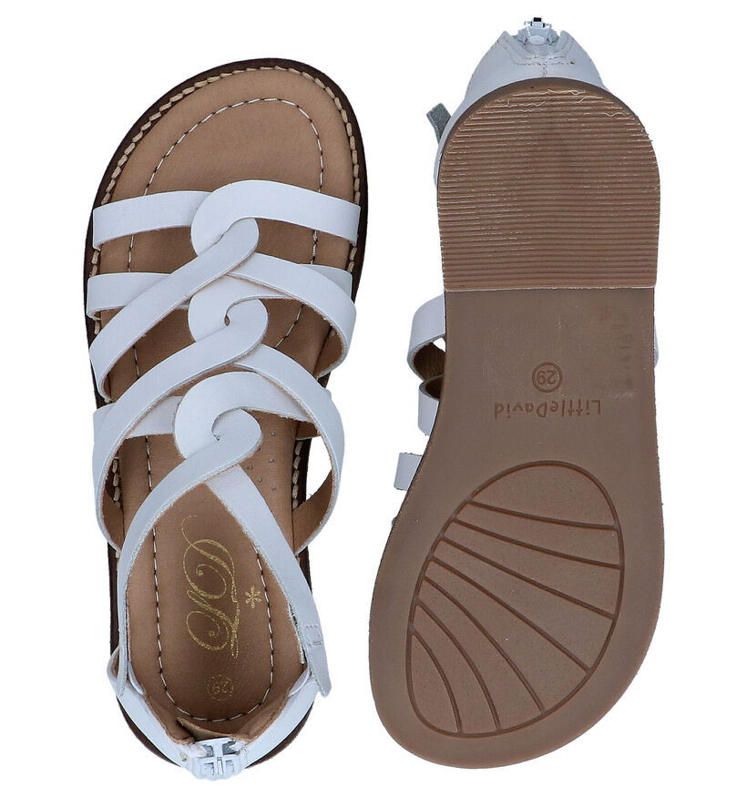 Little David Kaylee Cognac Sandalen voor meisjes (289891)