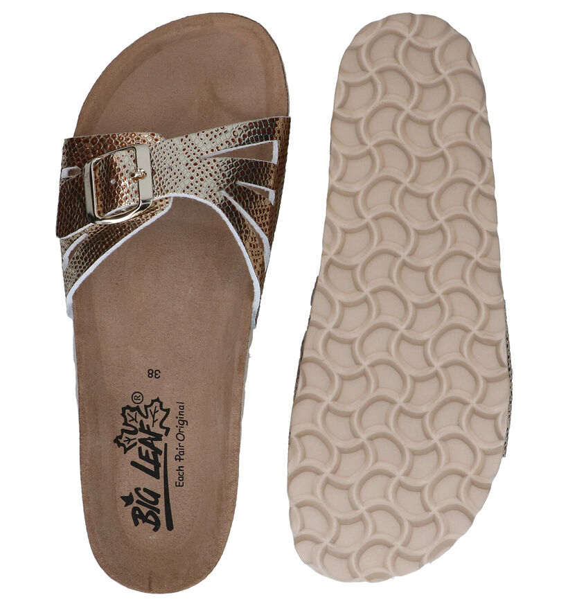 Big Leaf Gouden Slippers in stof (292596)