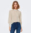 JDY Avery Ecru Kanten Blouse voor dames (330934)