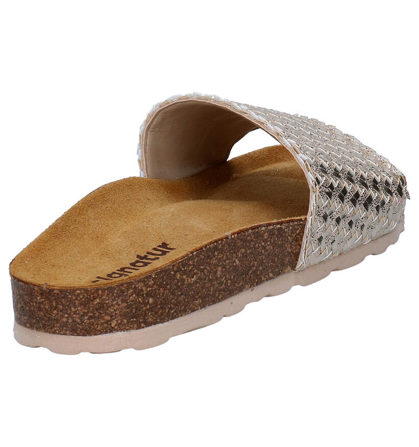 Signatur Gouden Slippers in kunstleer (290459)