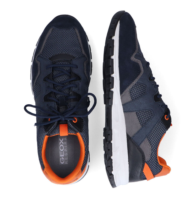 Geox Delray Chaussures à lacets en Bleu en simili cuir (312969)