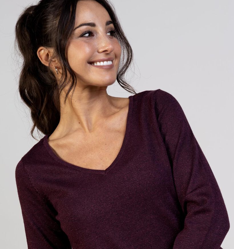 Vero Moda Happy Glitter Bordeaux Trui voor dames (365669)