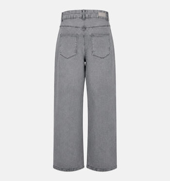 ONLY Carmakoma Jeans Grijs