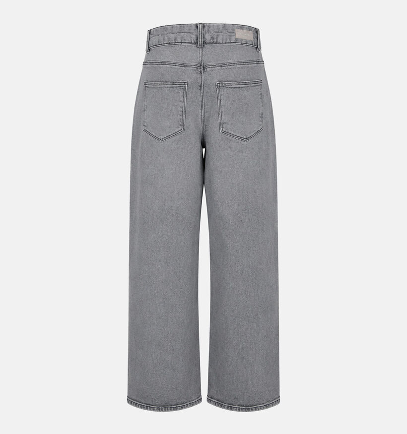ONLY Carmakoma Juicy Grijze Straight Leg Jeans Broek voor dames (378397)