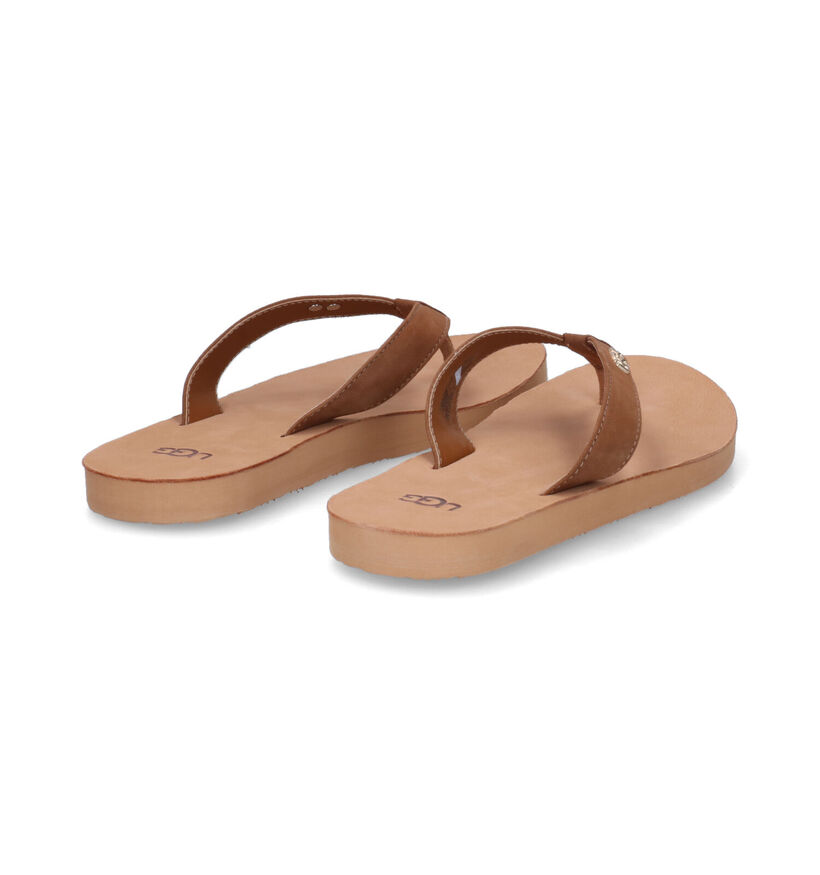 UGG Tawney Logo Cognac Teenslippers in nubuck (303418)