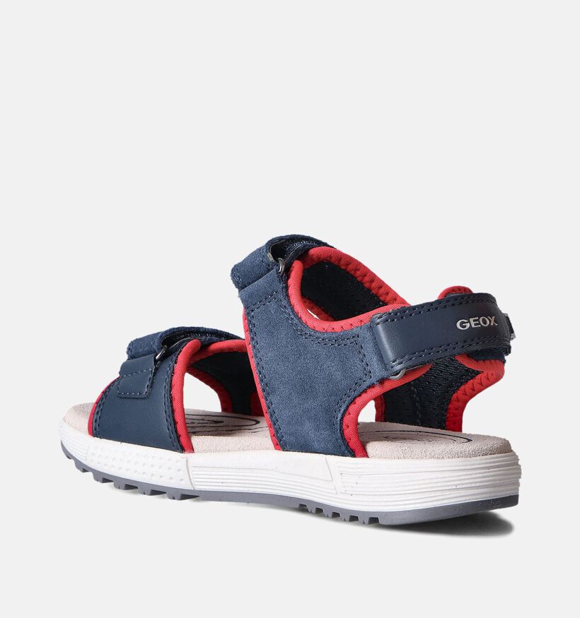 Geox Alben Sandales en Bleu pour garçons (356375)