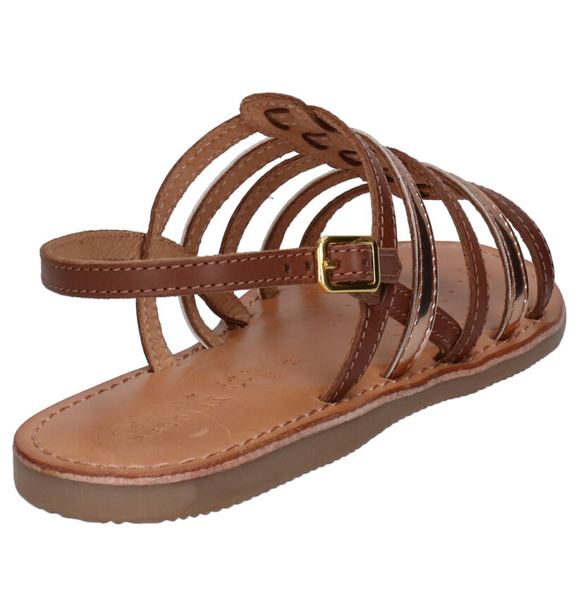 Geox Cognac Sandalen in leer (267455)