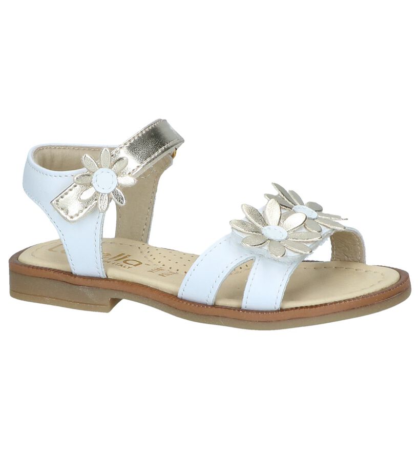 Lunella Sandales en Blanc en cuir (238977)