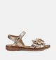 STONES and BONES Zilas Gouden Sandalen voor meisjes (373765)