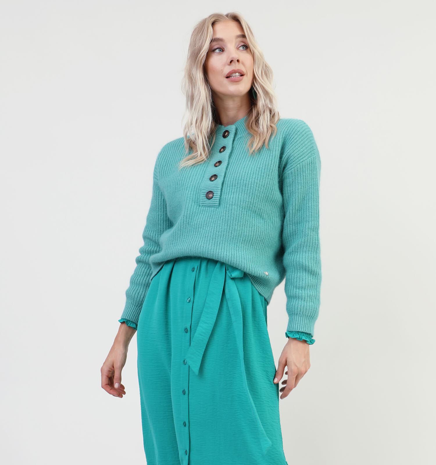 Orfeo Gaspard Turquoise Trui met knopen Dames Truien Online op TORFS.BE