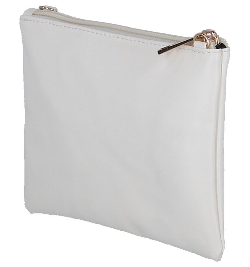 Zilveren Clutch Tasje Dolce C. in kunstleer (251726)