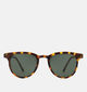 Komono Francis Bruine Zonnebril Tortoise voor dames (355154)