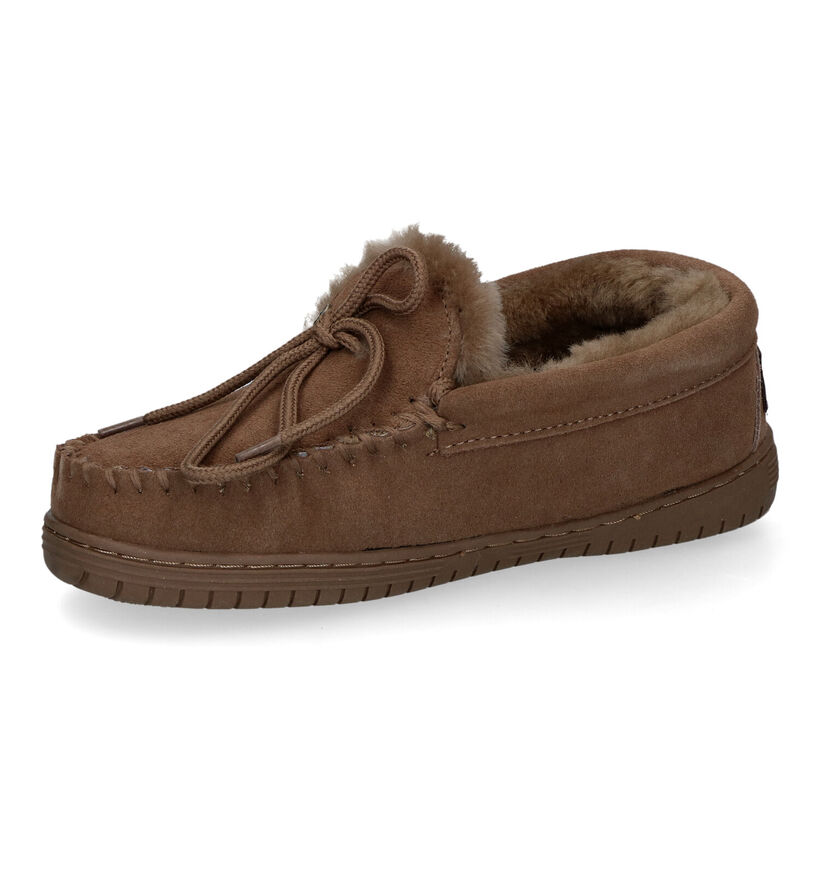 Warmbat Koala Bruine Pantoffels voor dames (314443)