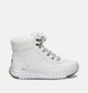 Skechers On-The-Go Stellar Baskets en Blanc pour femmes (345149)