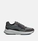 Xsensible Golden Gate Chaussures plates en Gris pour hommes (363769) - pour semelles orthopédiques