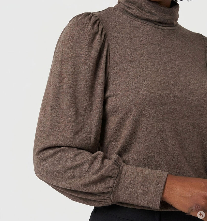 Minuit Douze Elycia Donkerbruine T-shirt Lange Mouwen voor dames (381867)