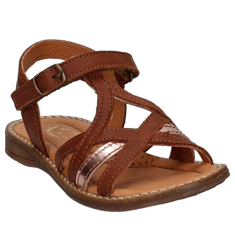 Little David Sandra Bruine Sandalen in leer (273171)