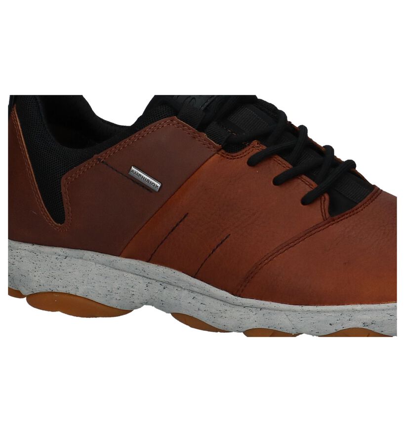 Geox Nebula Zwarte Casual Schoenen in stof (223483)