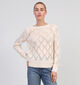 Vila Feline Beige Trui voor dames (345013)
