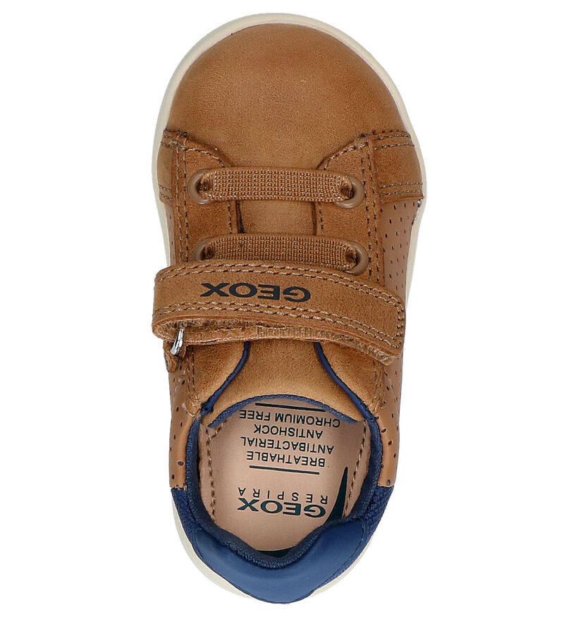 Geox Cognac Schoen met Elastiek in kunstleer (265794)