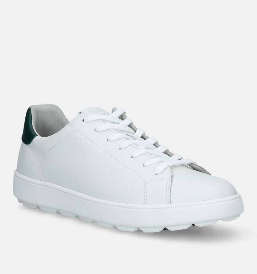 Geox Spherica Witte Veterschoenen voor heren (335681)