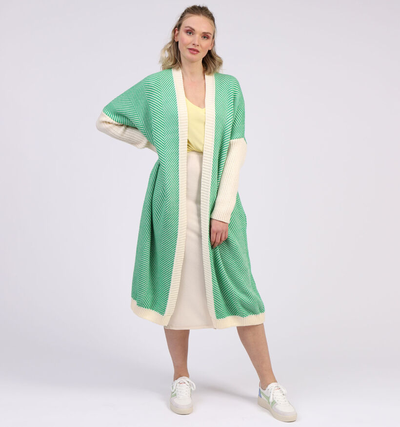 Dole C. Groene Cardigan (315033)