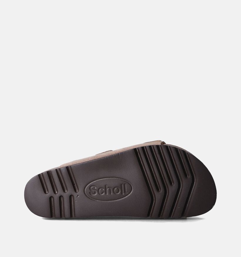 Scholl Julien Slippers Beige voor heren (357578)