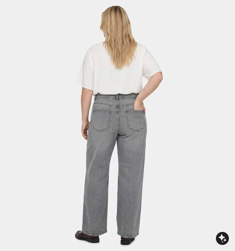 ONLY Carmakoma Juicy Grijze Straight Leg Jeans Broek voor dames (378397)