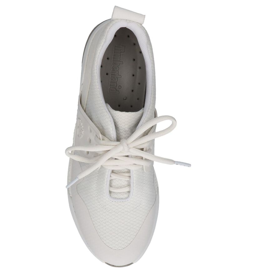 Timberland Kiri New Lace Oxford Witte Sneakers in stof (212237)