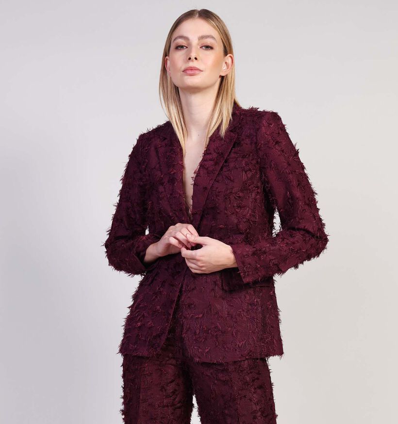 Vila Wagne Bordeaux Blazer voor dames (365591)