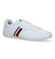Tommy Hilfiger Classic Lo Cupsole Witte Veterschoenen in leer (321225)