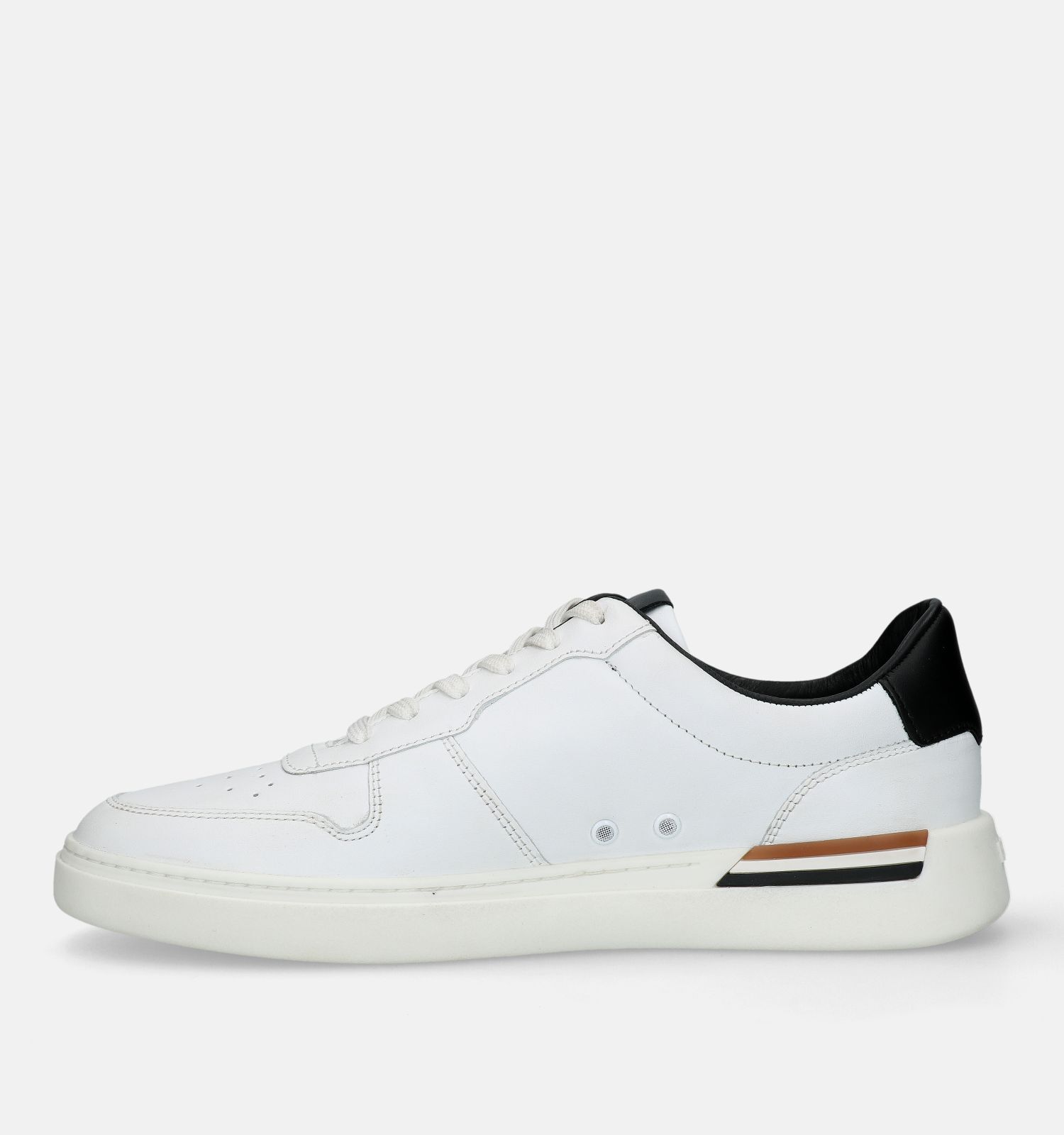 Lacet tn best sale