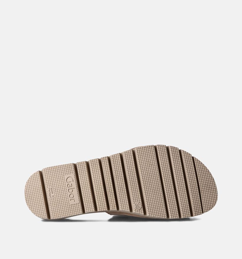 Gabor Bruine Slippers voor dames (355106)