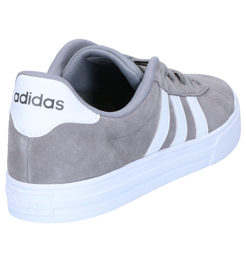 adidas Daily 2.0 Grijze Sneakers in kunstleer (264758)