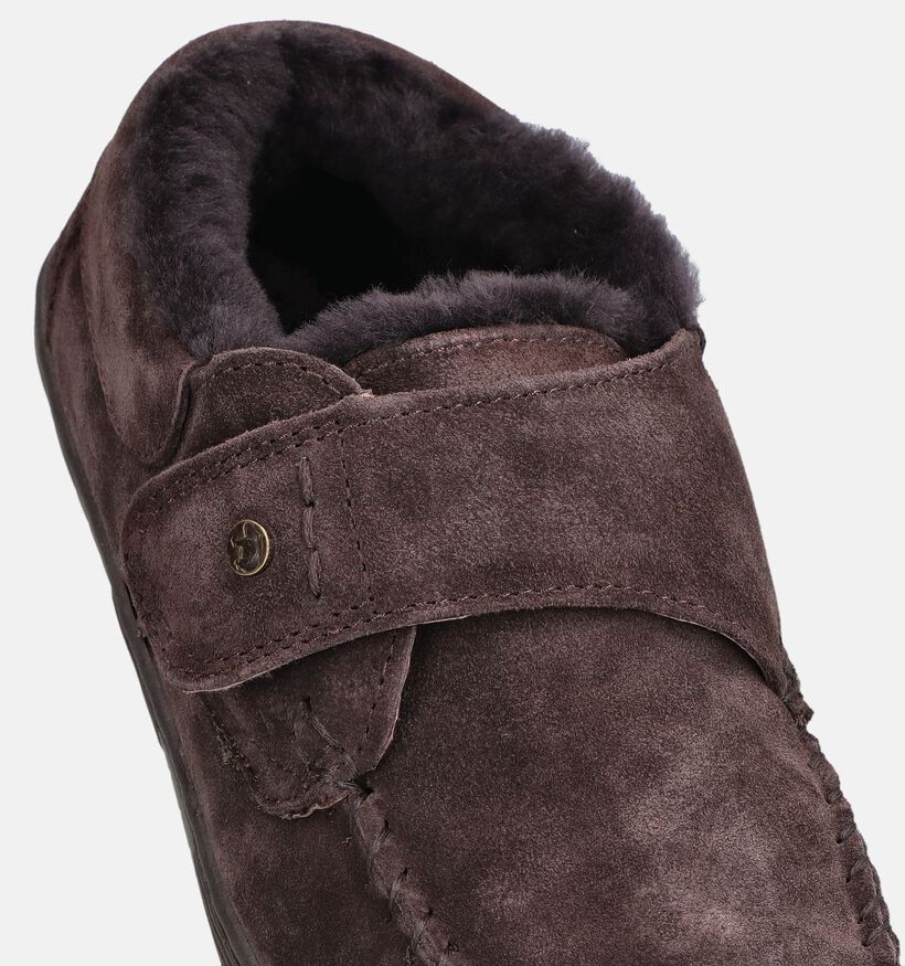 Warmbat Smithon Pantoufles en Marron fonc&eacute; pour hommes (379318)