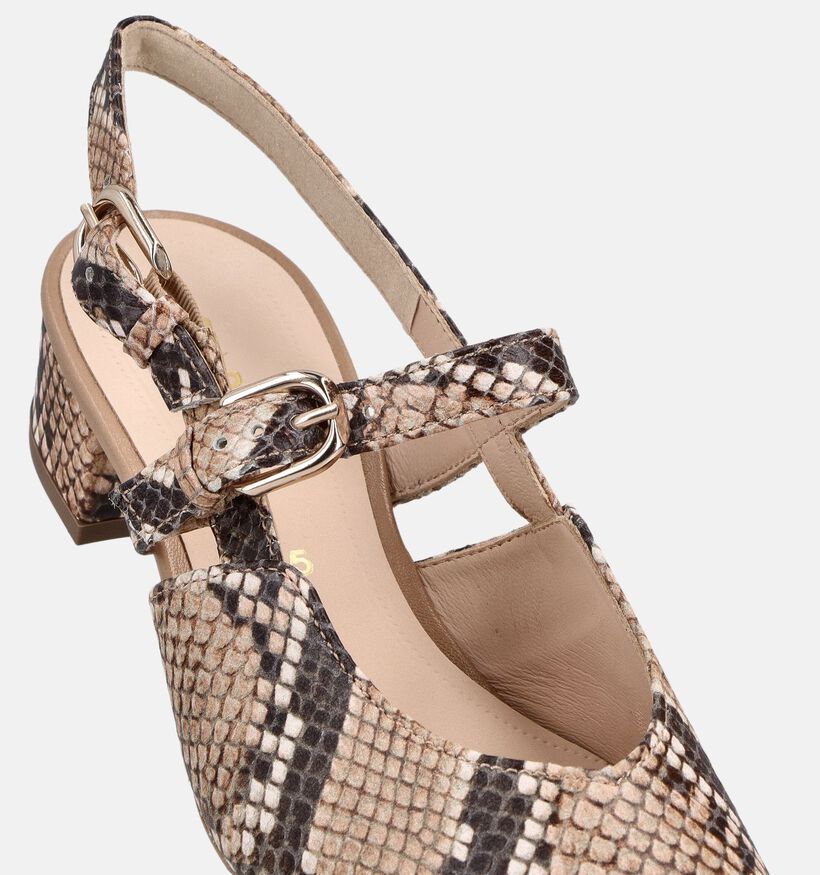 Gabor Python Grande Beige Slingback Pumps voor dames (373300)